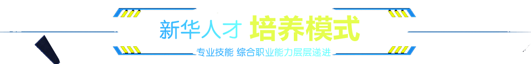 新华人才培养模式